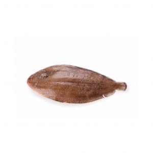 Lenguado