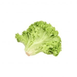 Lollo Verde