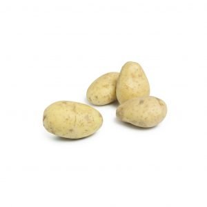 Patata Gorda Seleccionada