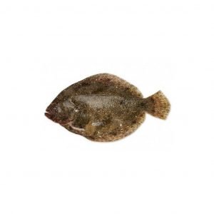 Rodaballo
